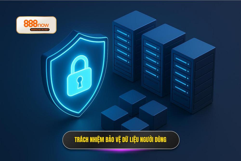 3.trách Nhiệm Trong Việc Bảo Vệ Dữ Liệu Người Dùng